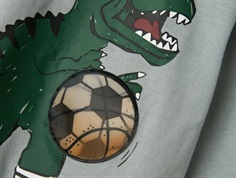 Name It top quarry med dino